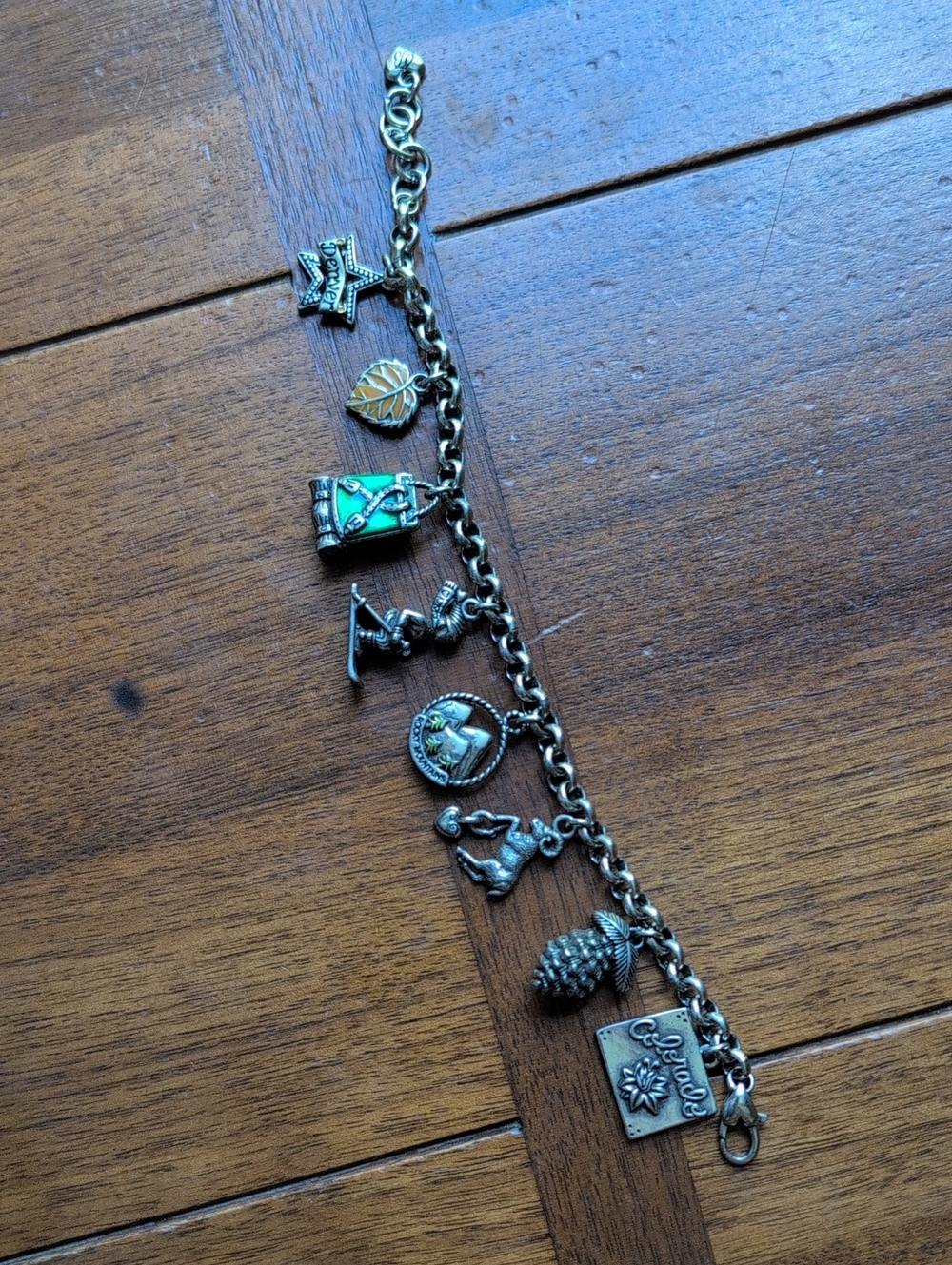 Brighton Silver Ski/Colorado Charm Bracelet